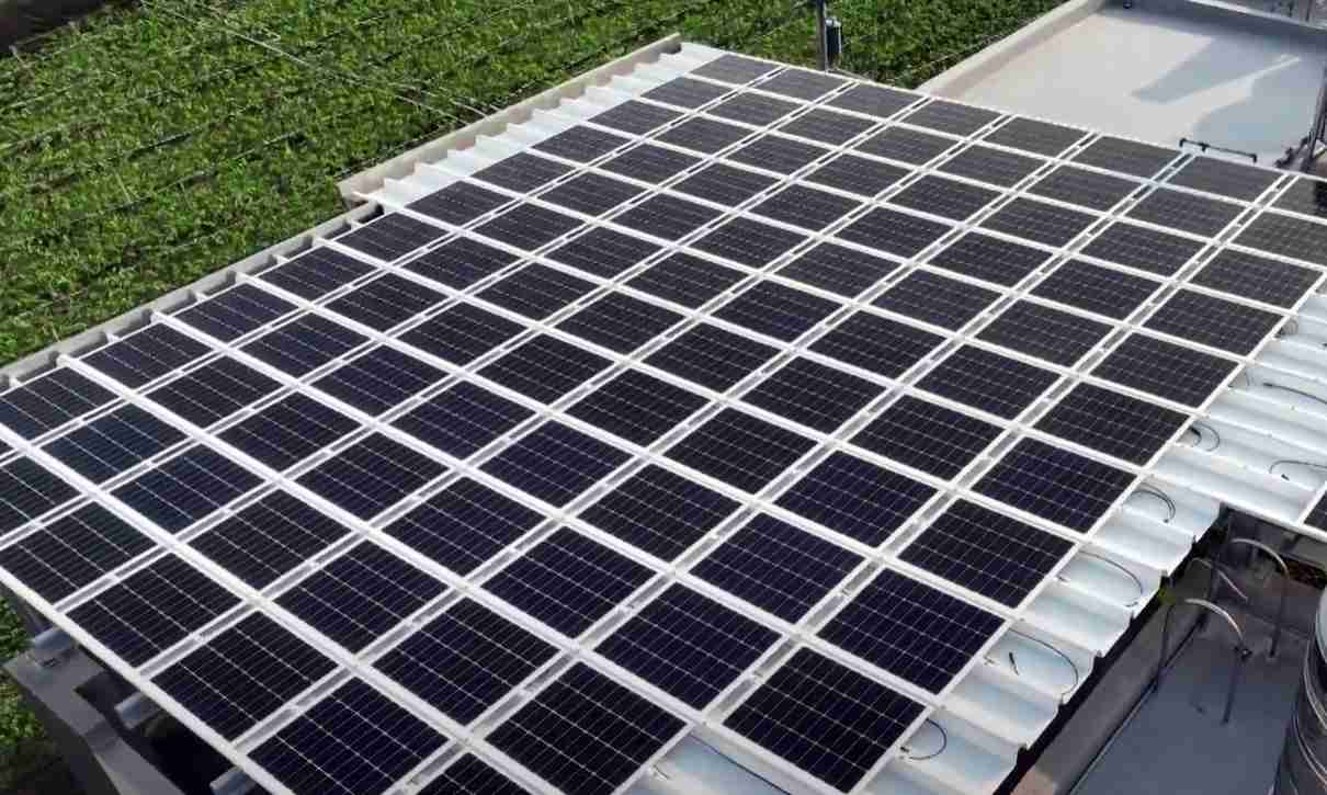 尊龙集团SunSteel光电浪板升级双玻结构，，以提升机械负载强度及气候耐候度，，可广泛运用于多元场域